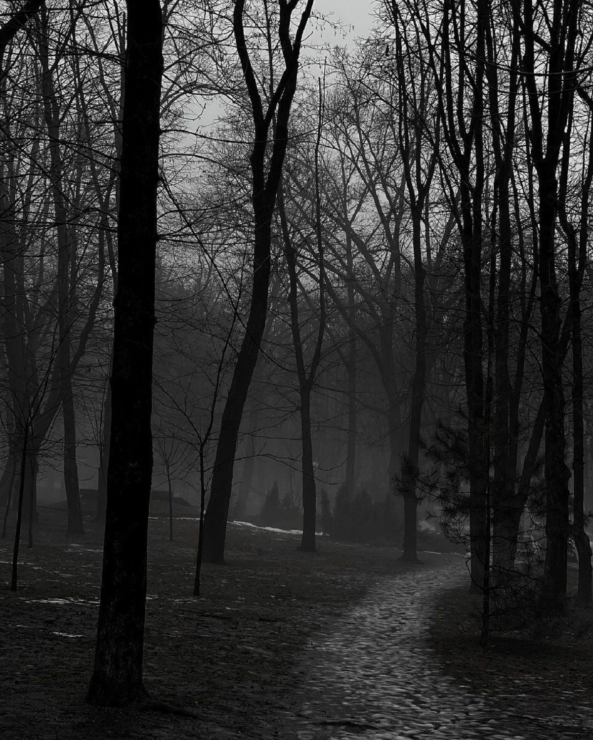 Фото: @_zakhariash_