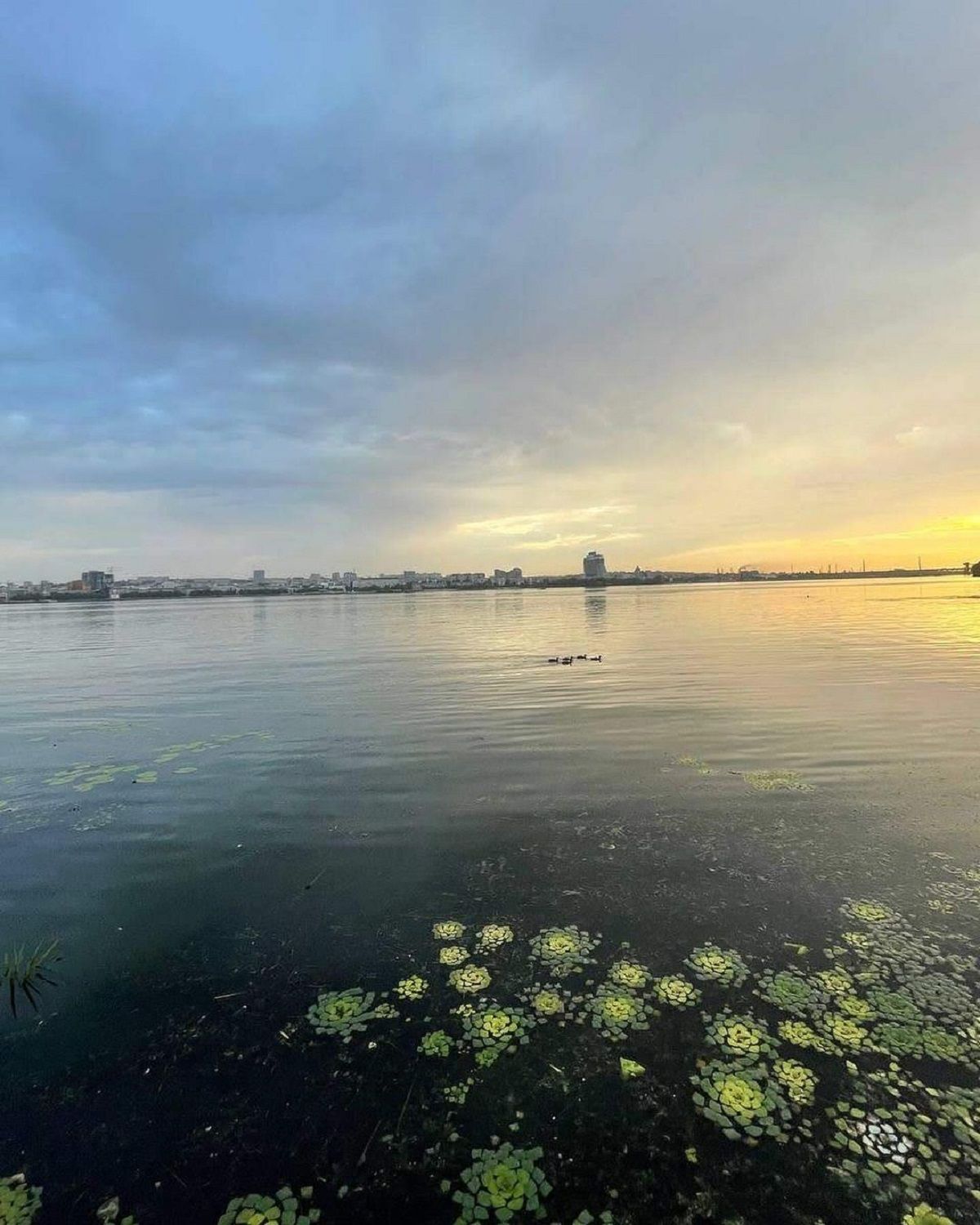 Фото: @p_1anastasiya