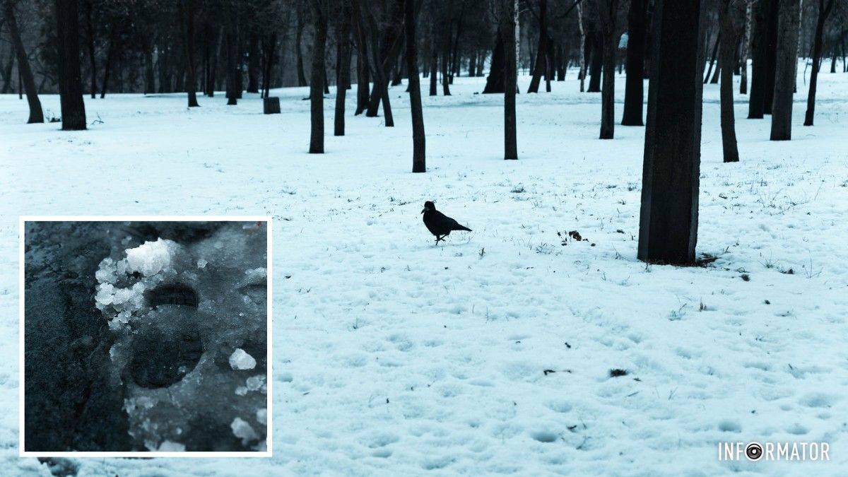 Погода на 22 января: в Днепре будет облачно с прояснениями