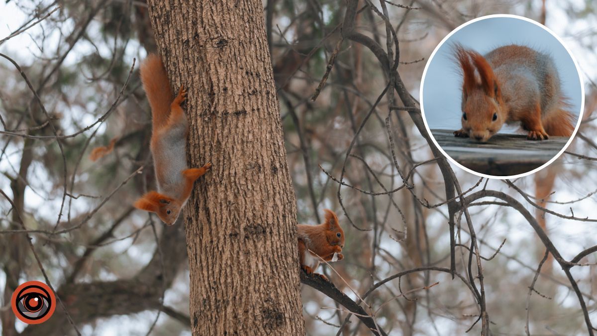 В Днепре облачно: прогноз погоды на 22 января