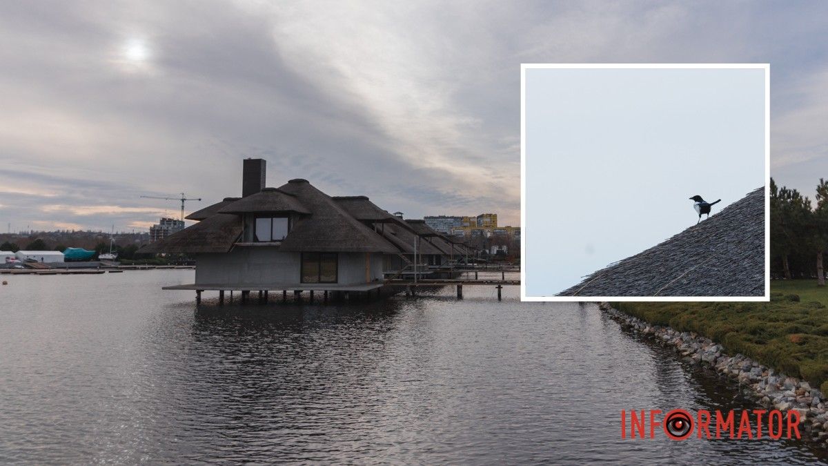 Погода на 23 січня: у Дніпрі буде сильна хмарність