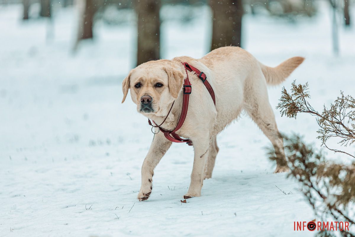 На прогулке