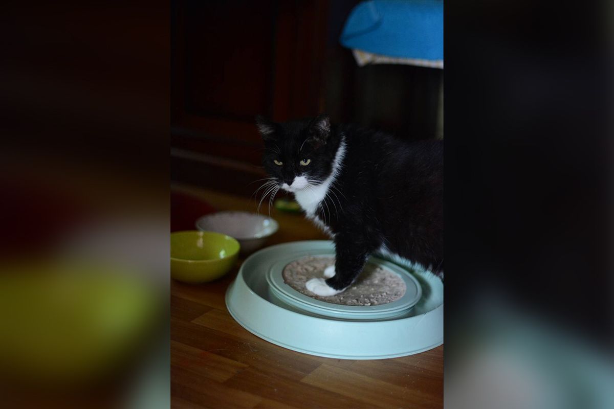 Його звати Добряк