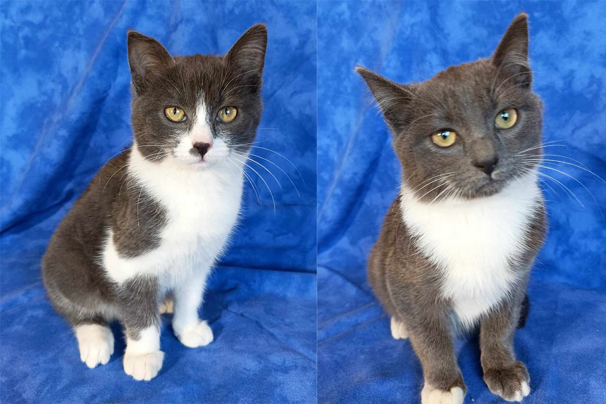 Вони чекають саме на тебе!