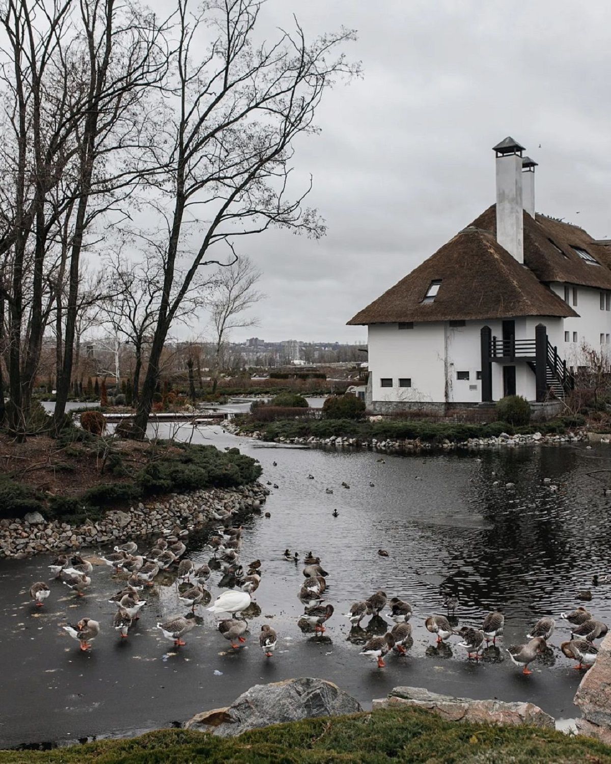 Фото: @_artem_voloshyn_