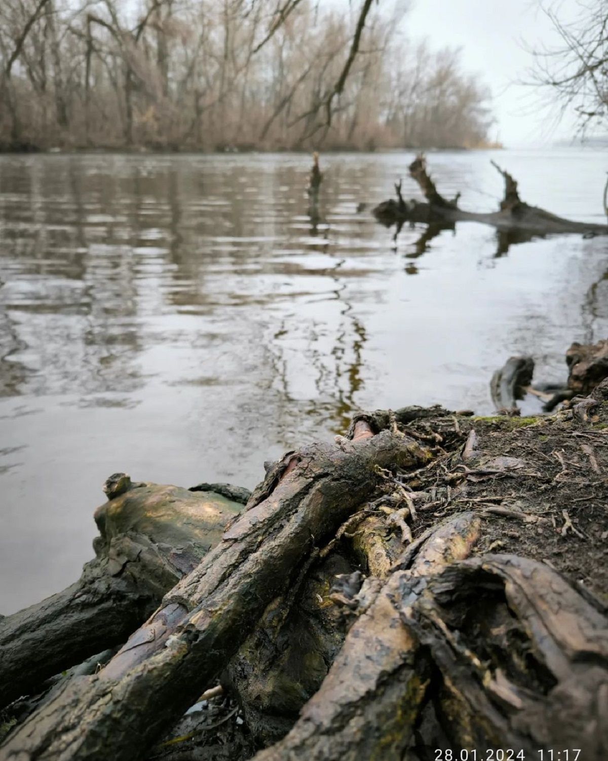 Фото: @nataliyaguba