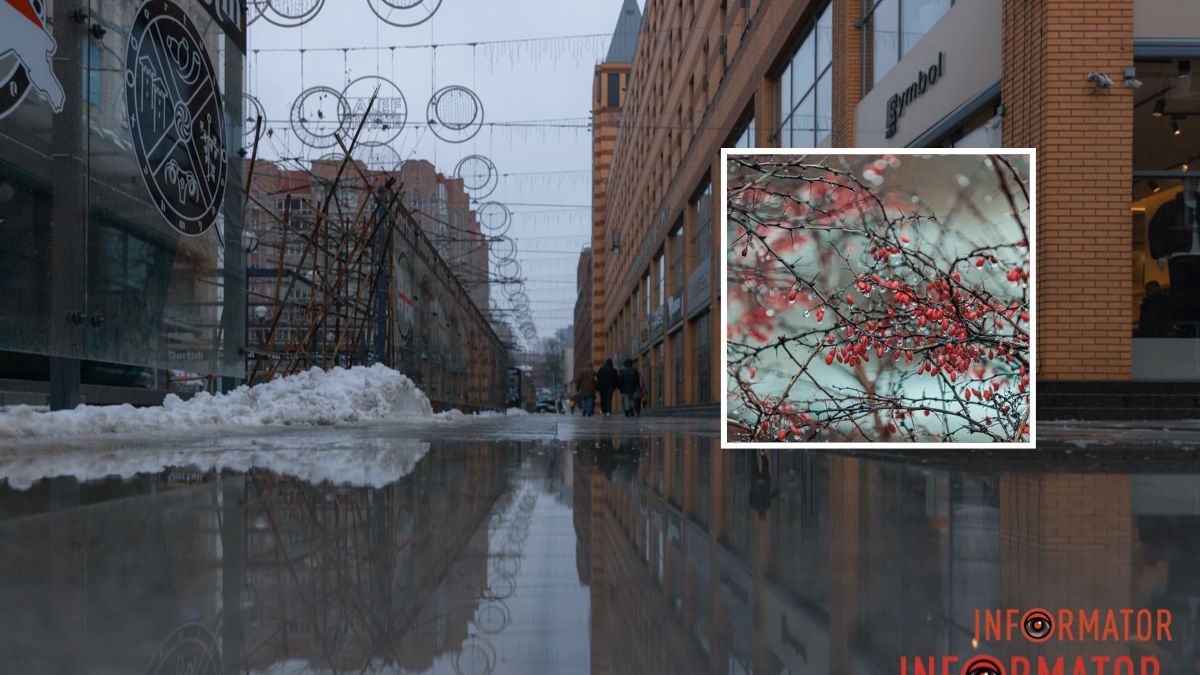 У Дніпрі йтиме сніг з дощем: прогноз погоди на 2 лютого
