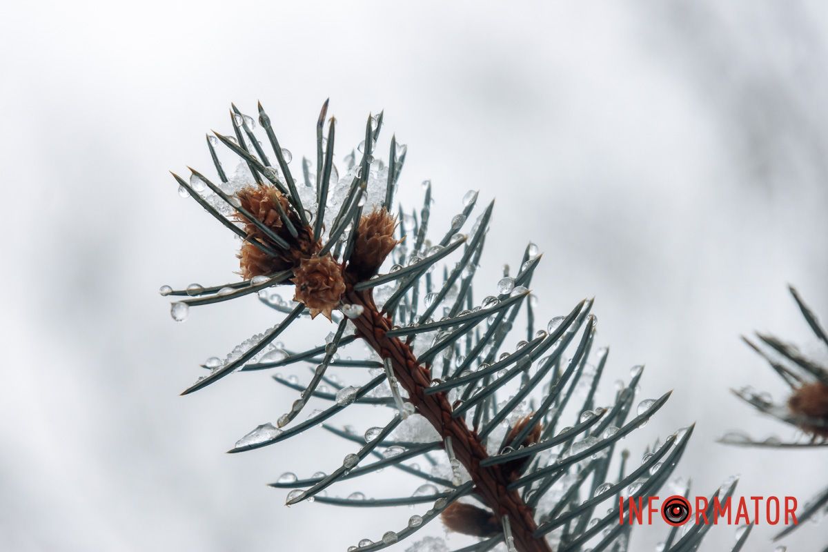 Краплі Краплі