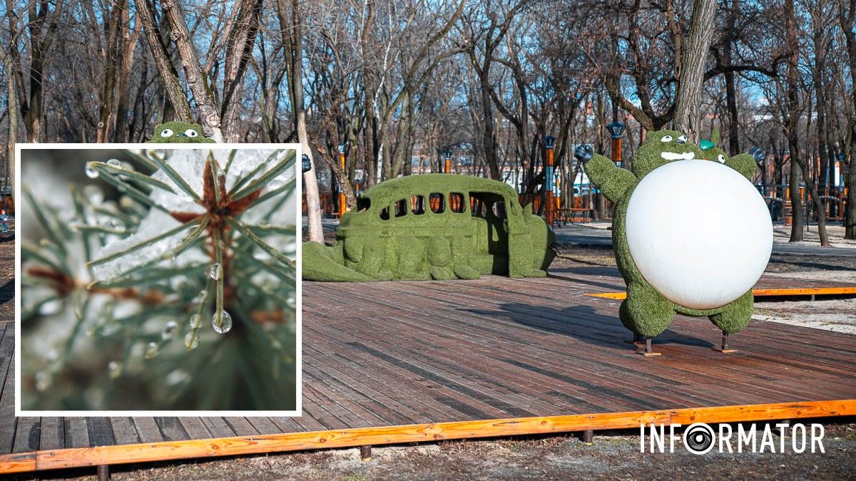 До +12 на термометре: какой будет погода в Днепре 7 февраля