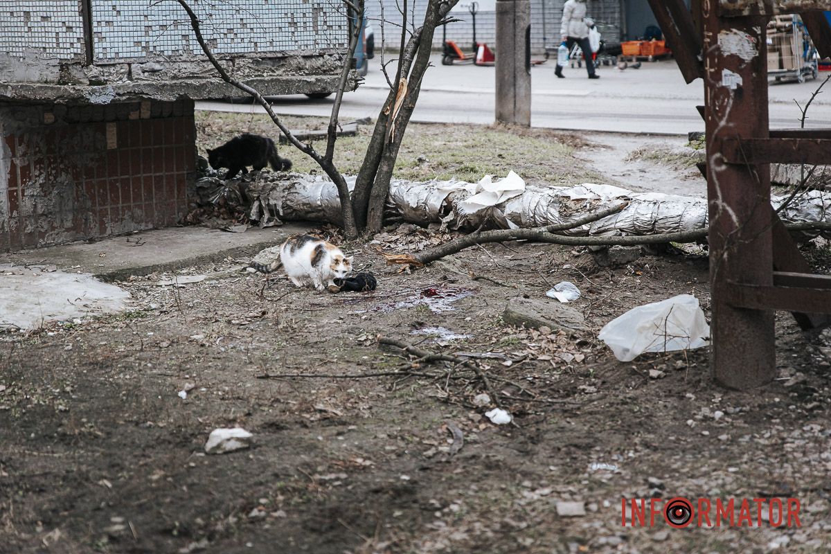 Усі обставини з'ясовуються Усі обставини з'ясовуються