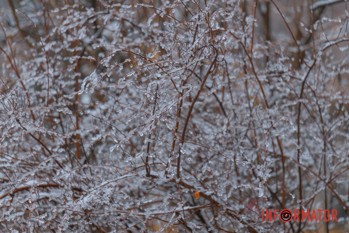 Прикраса зими