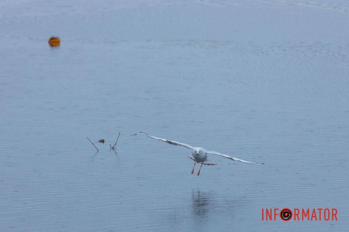 Всі побачили, що вміє?