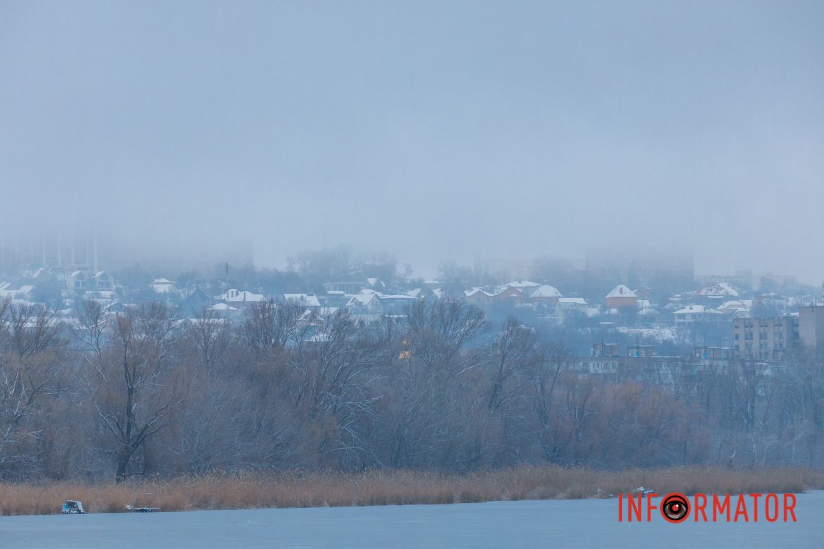 Кам'яні джунглі