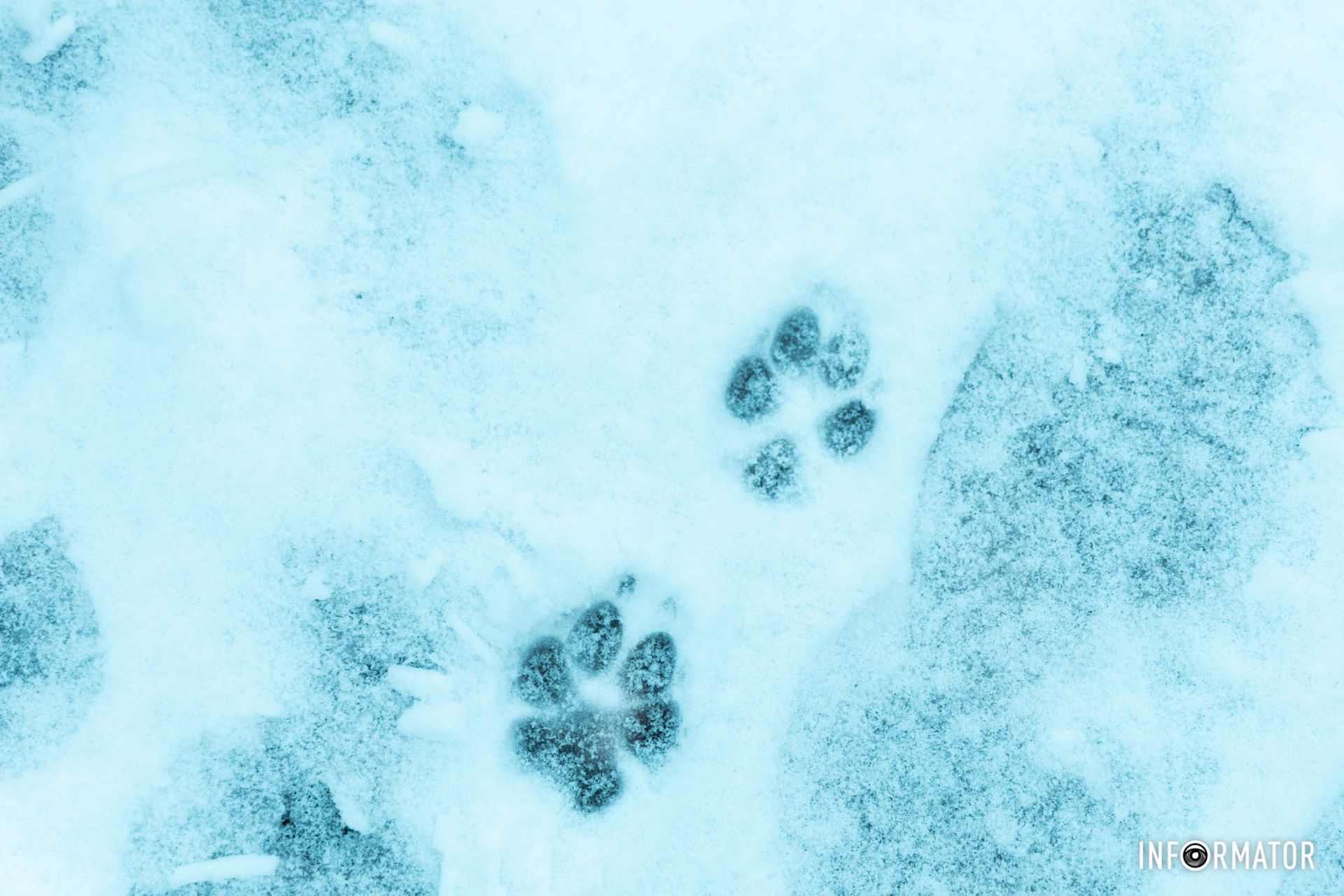 Залишив свій слід