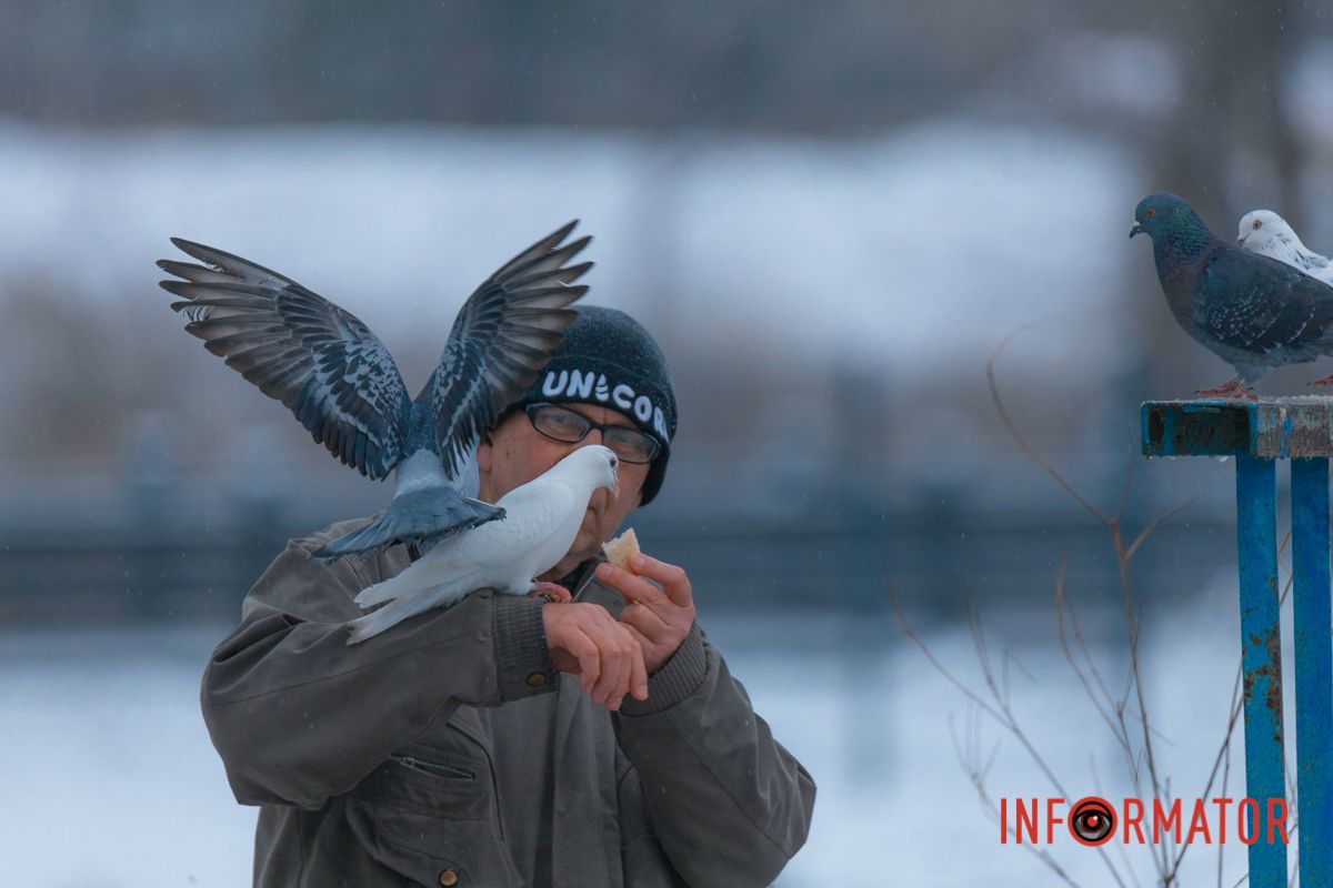 Нагадало "Один Вдома-2"