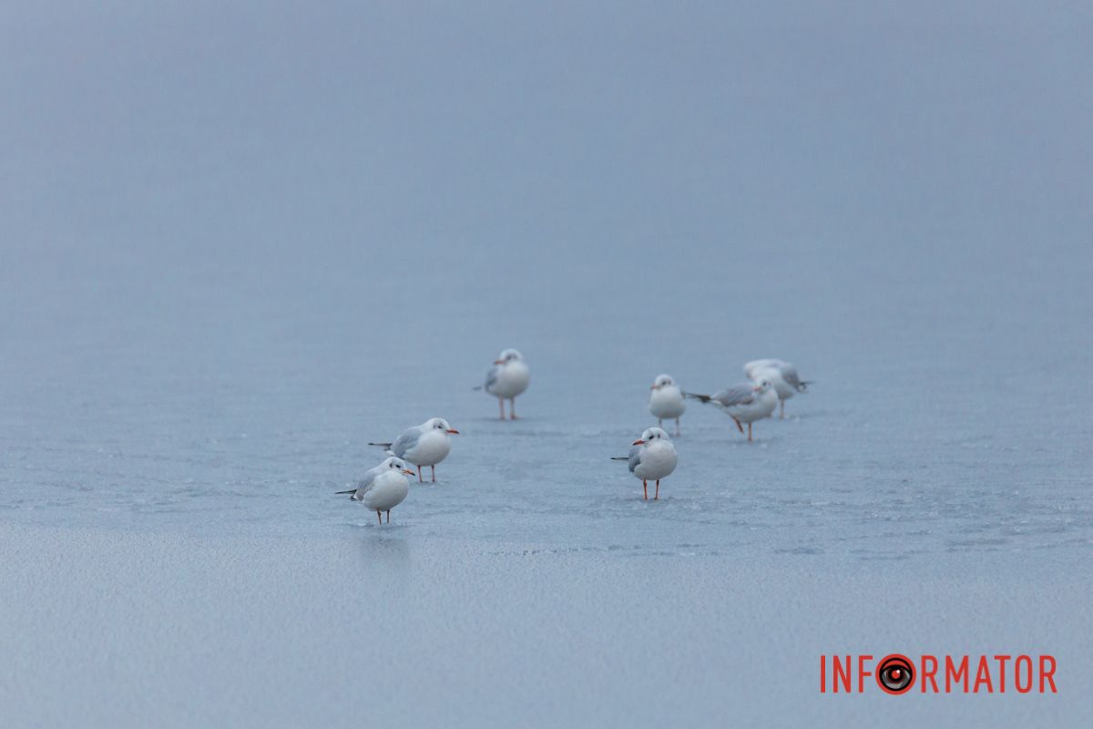 Покликав на созвон 