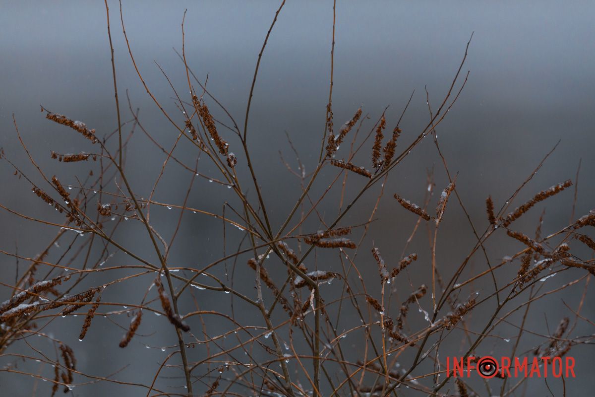 Як вам об'єктив?