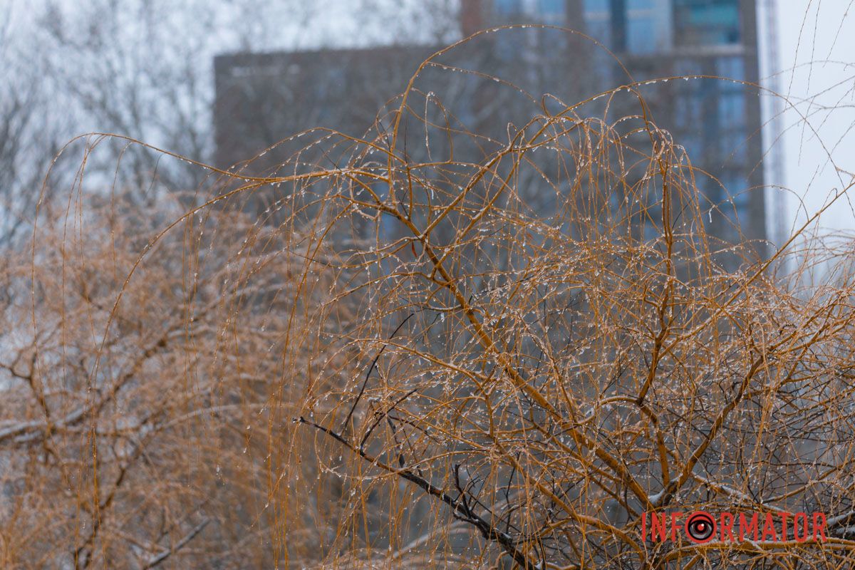 У зими свій стиль