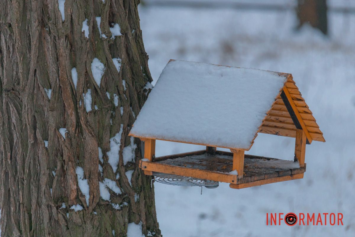 Своя хатинка - це добре