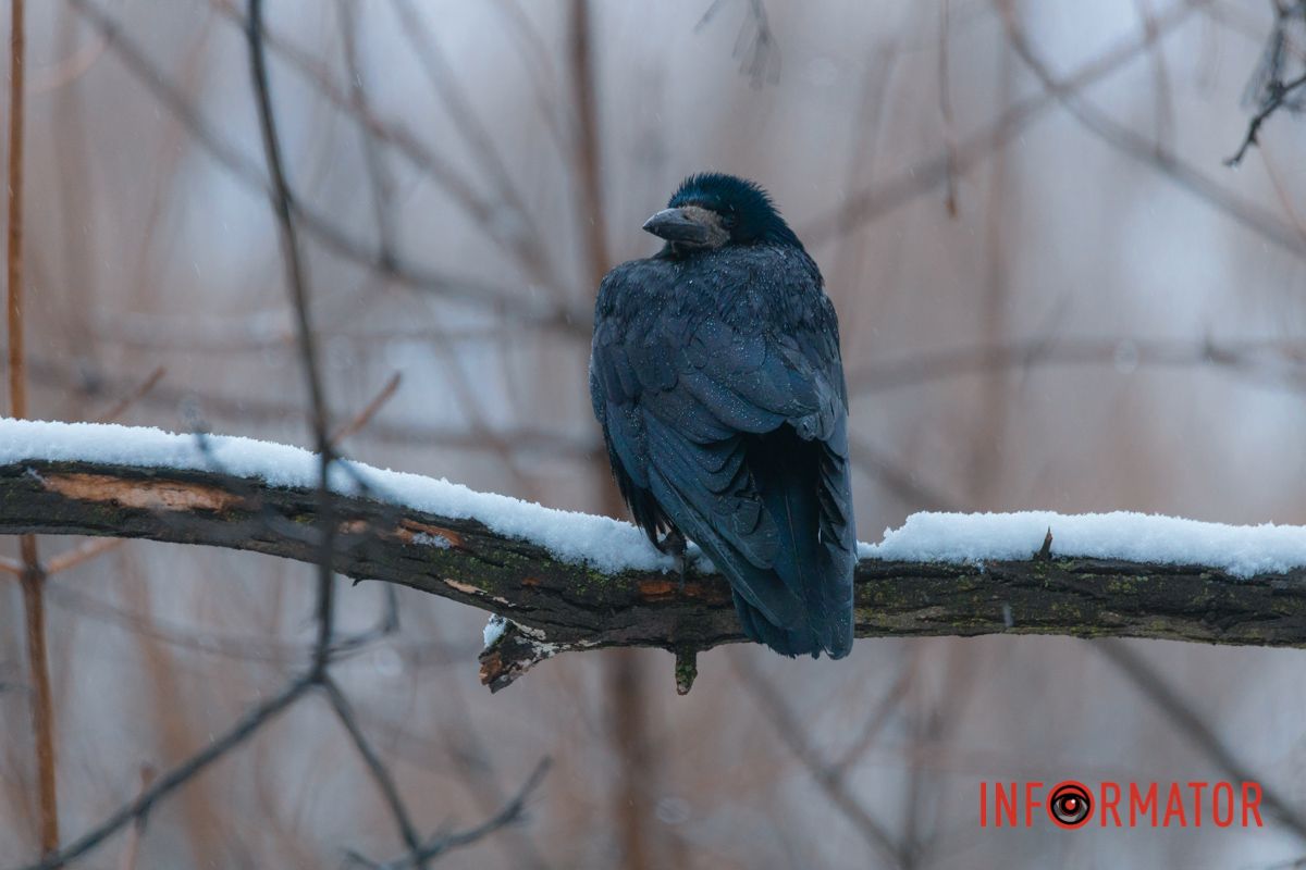 Бетмен-стайл