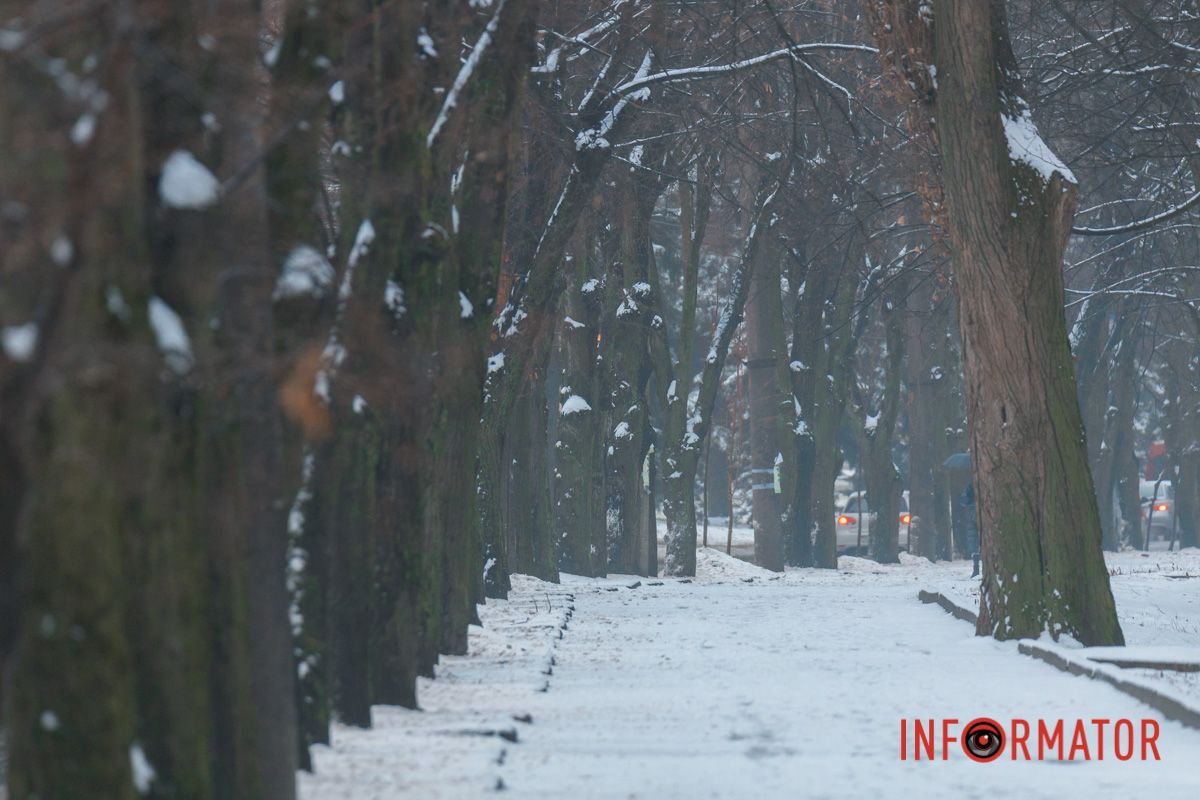 Кожен куток наповнений відчуттям спокою та краси