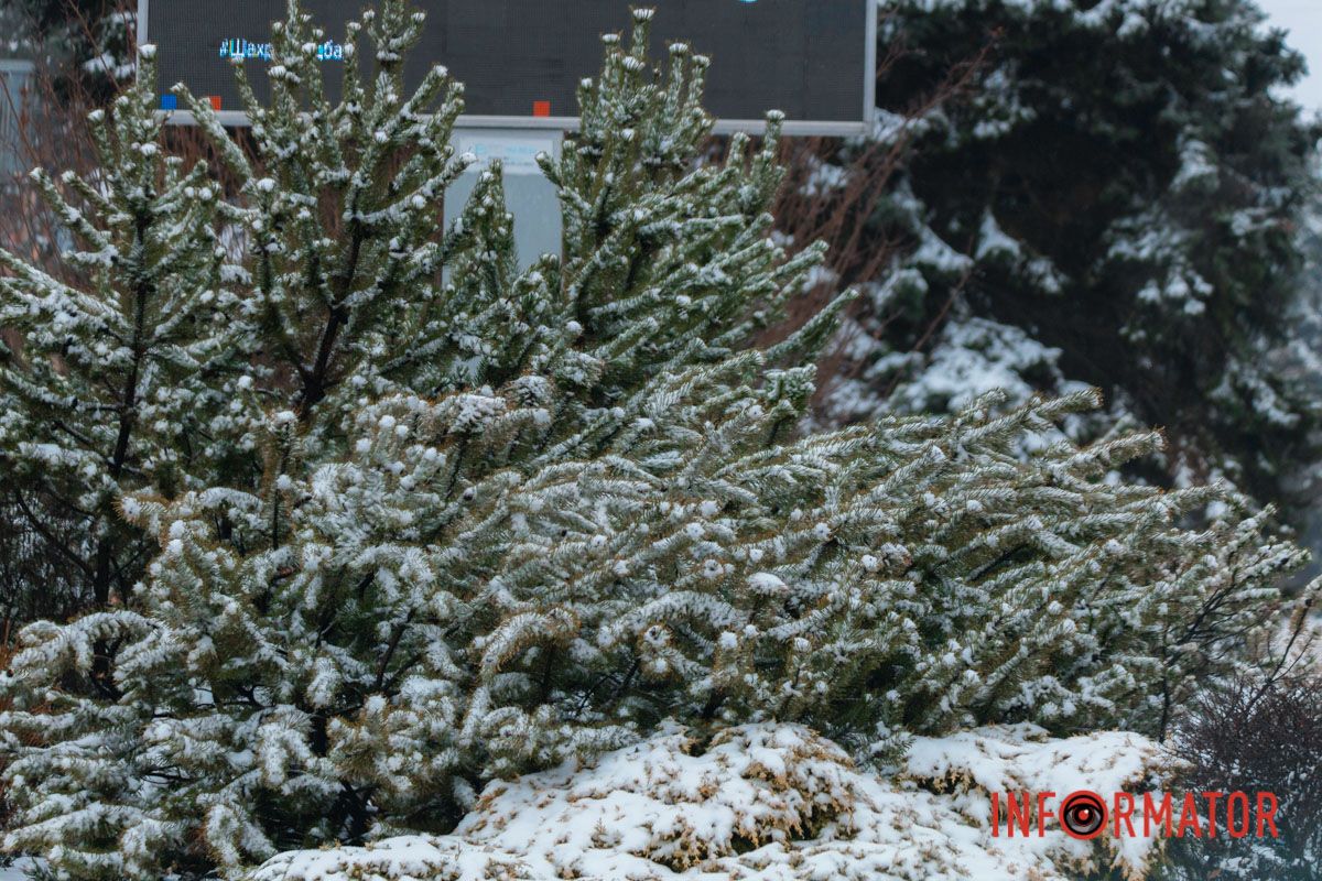 Коли кожна крихта снігу - це казка