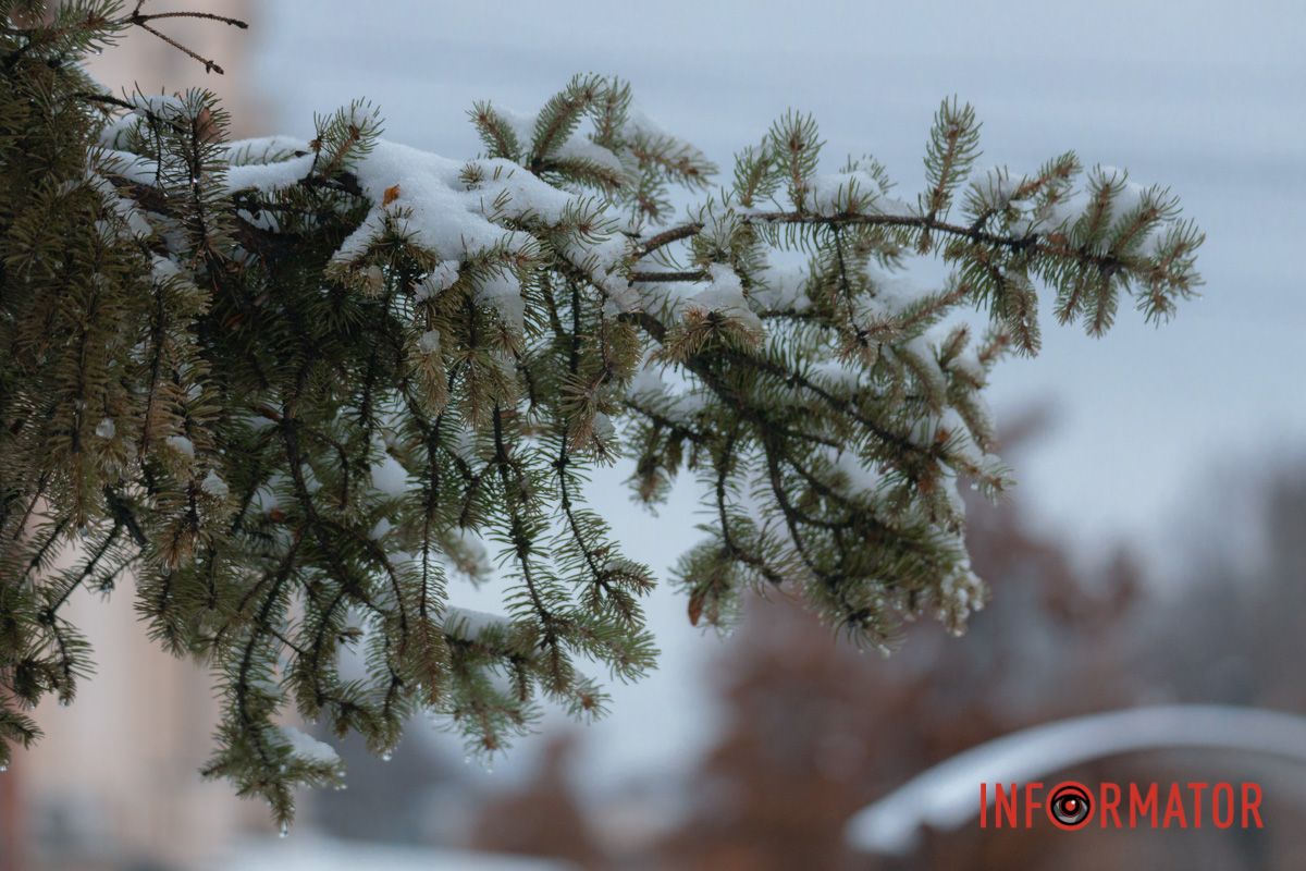 Кожен пейзаж - сторінка з казки
