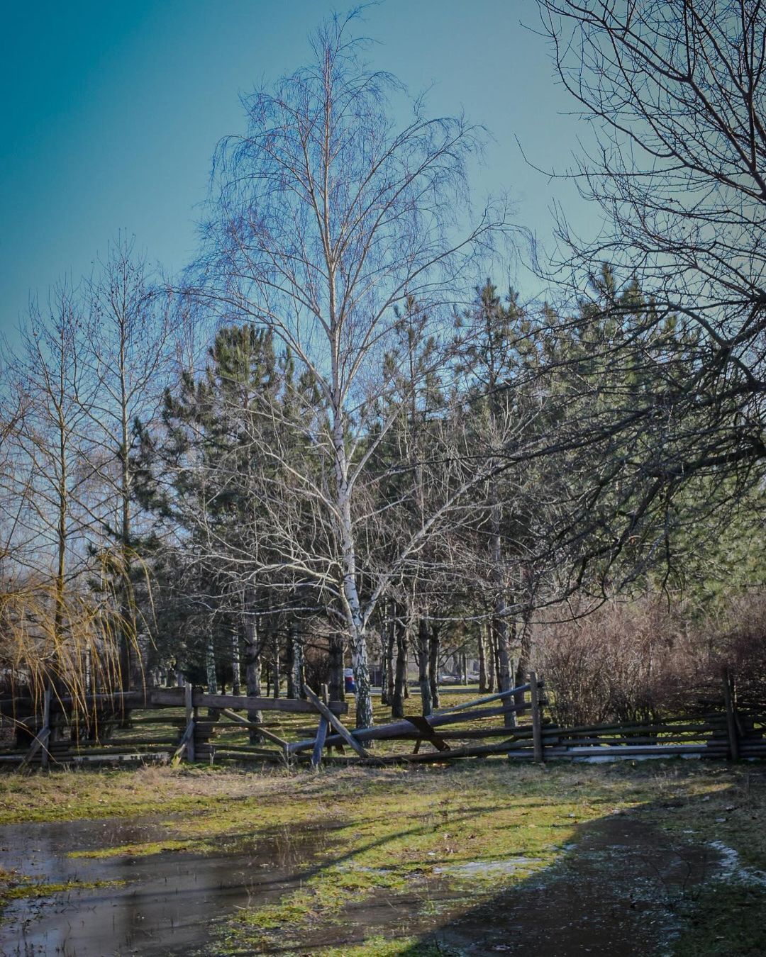 ksenia_nepran ksenia_nepran