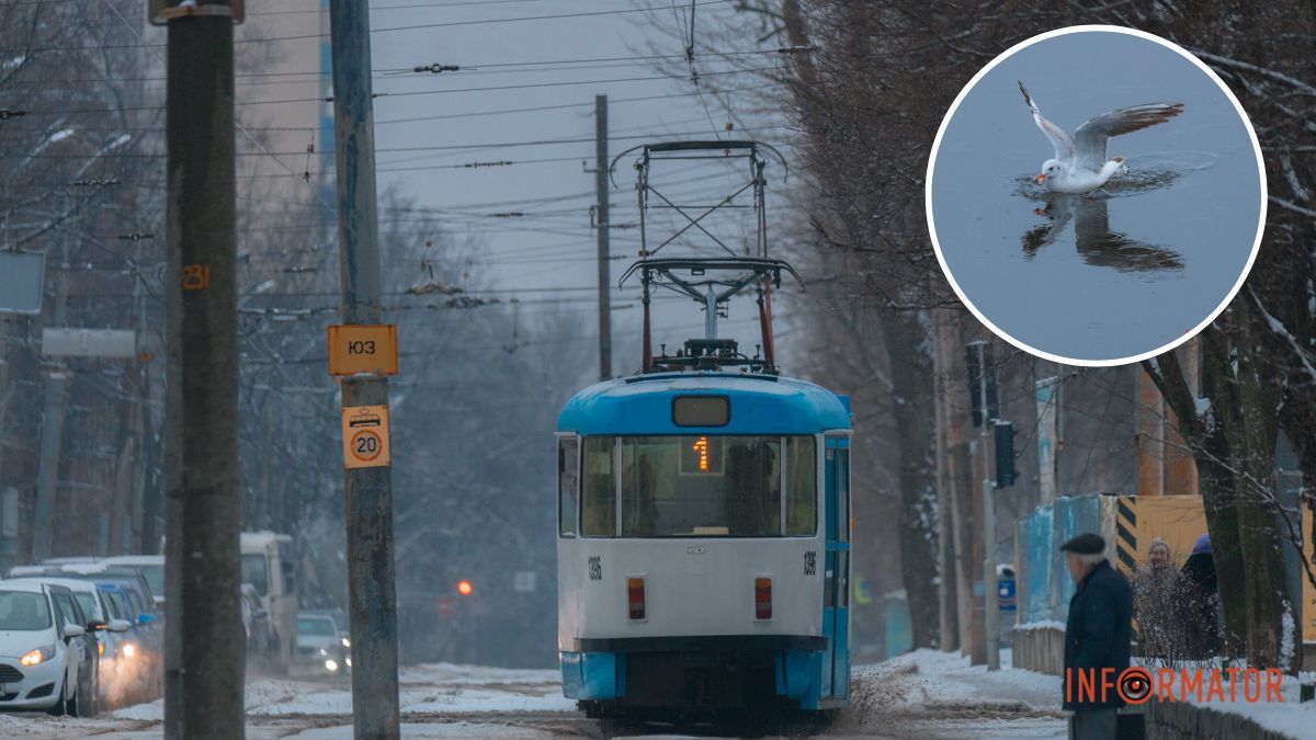 Середа зустріне дніпрян хмарною погодою: прогноз на 14 лютого