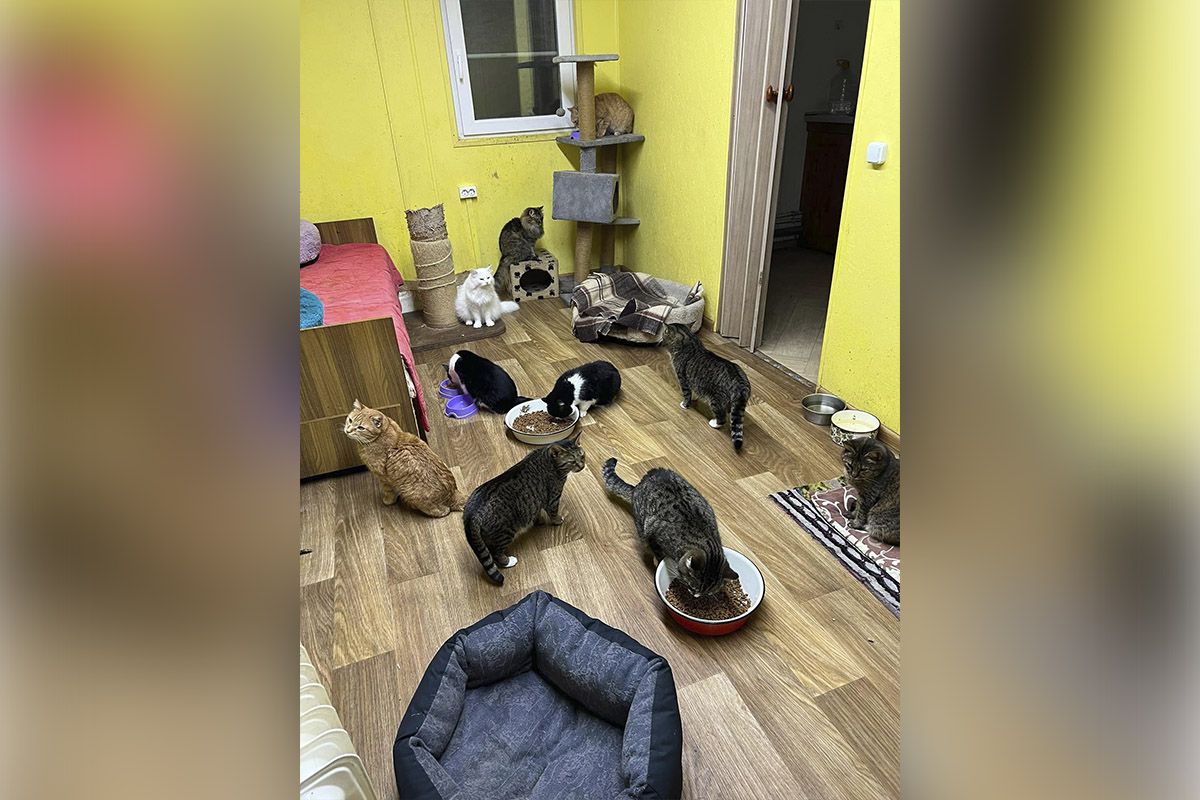 Они нуждаются в помощи Они нуждаются в помощи