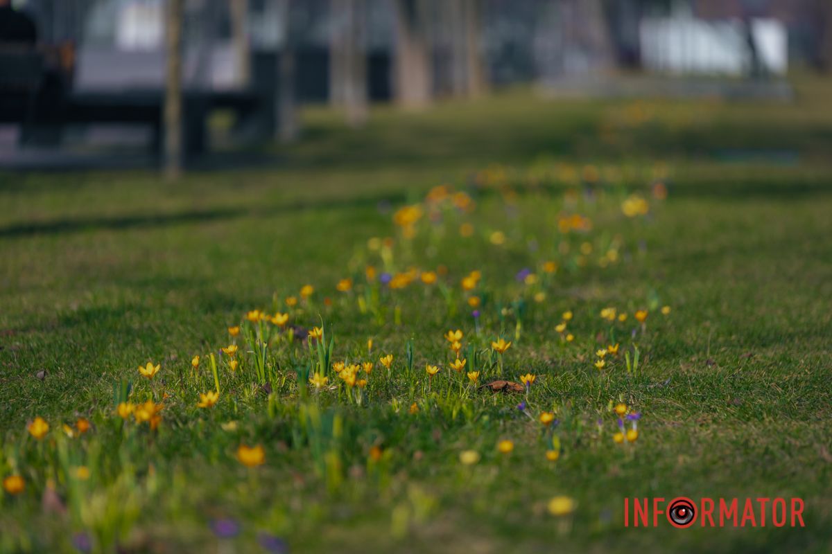 Теж чекаєте на весну?