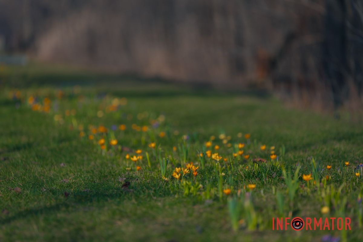 Стежка із квітів