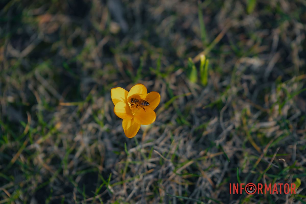 Тепло обов'язково прийде