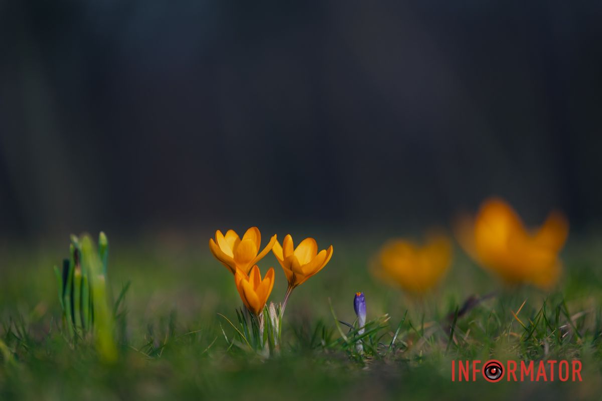 Фото: Денис Чубченко