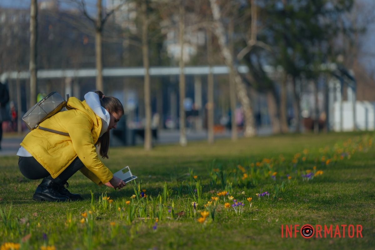 Містяни робили фото крокусів