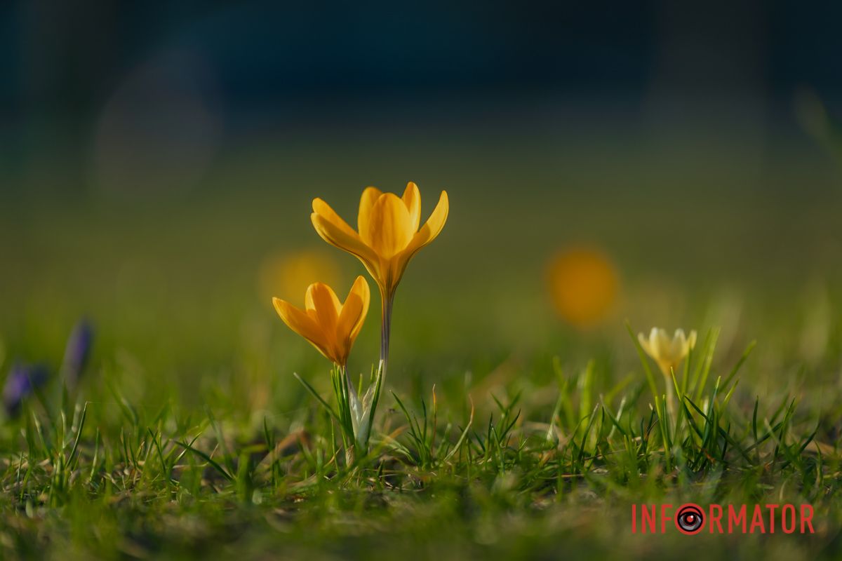 Краса природи