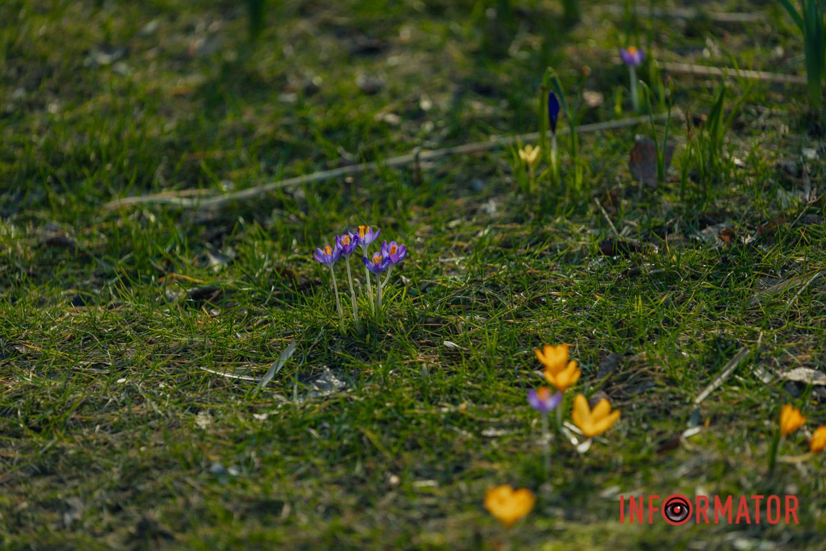 Важливо вміти радіти дрібницям