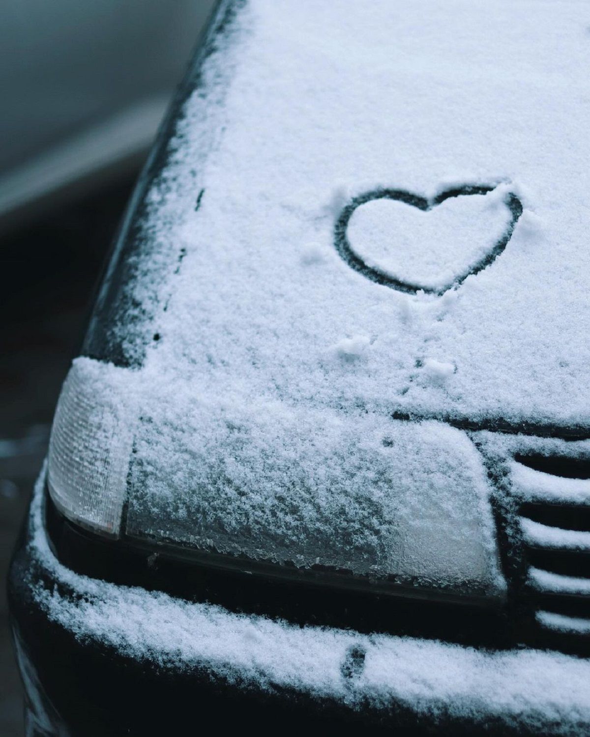 Фото: @li_voron Фото: @li_voron