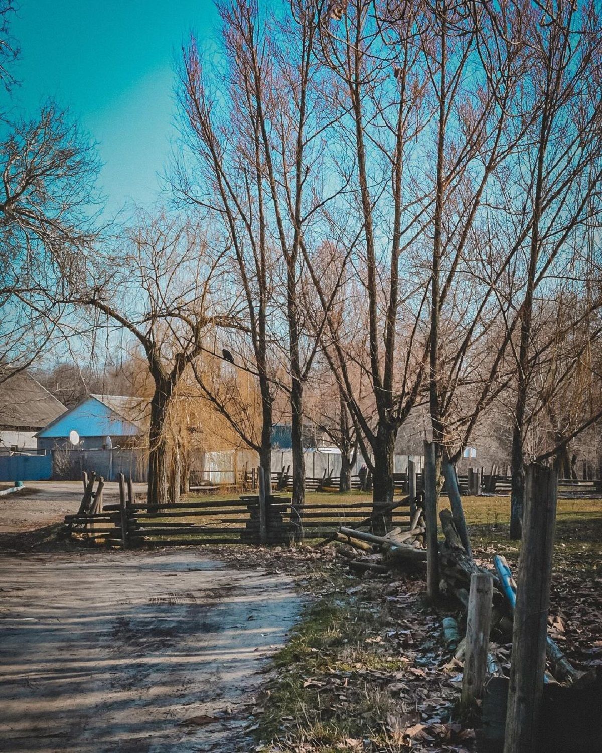 Фото: @olga._.nedeloff Фото: @olga._.nedeloff