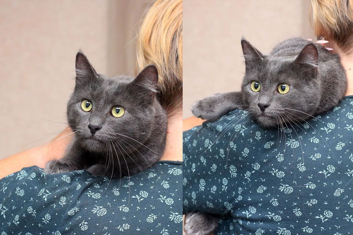 Жорік та Марік