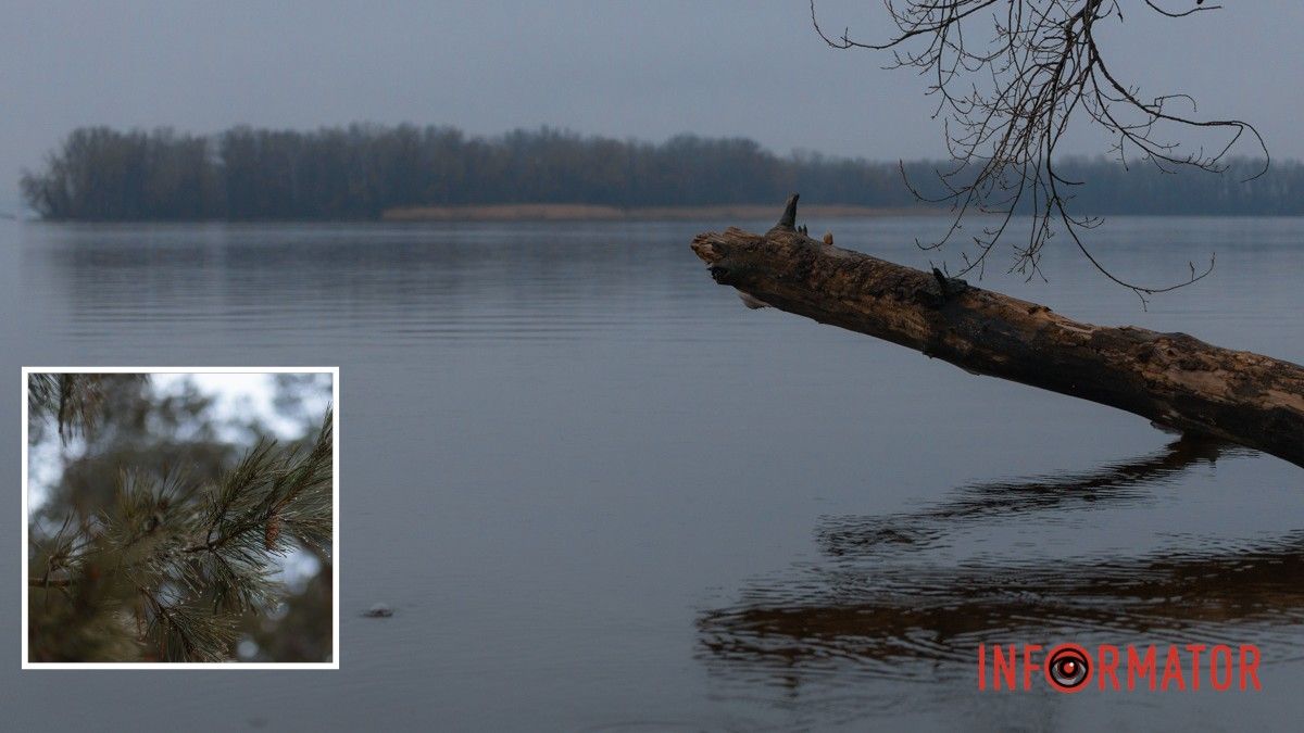 Погода на 19 лютого: у Дніпрі буде хмарно