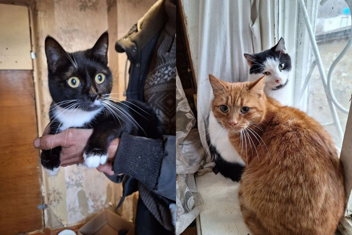 Мальчики и девочки Мальчики и девочки