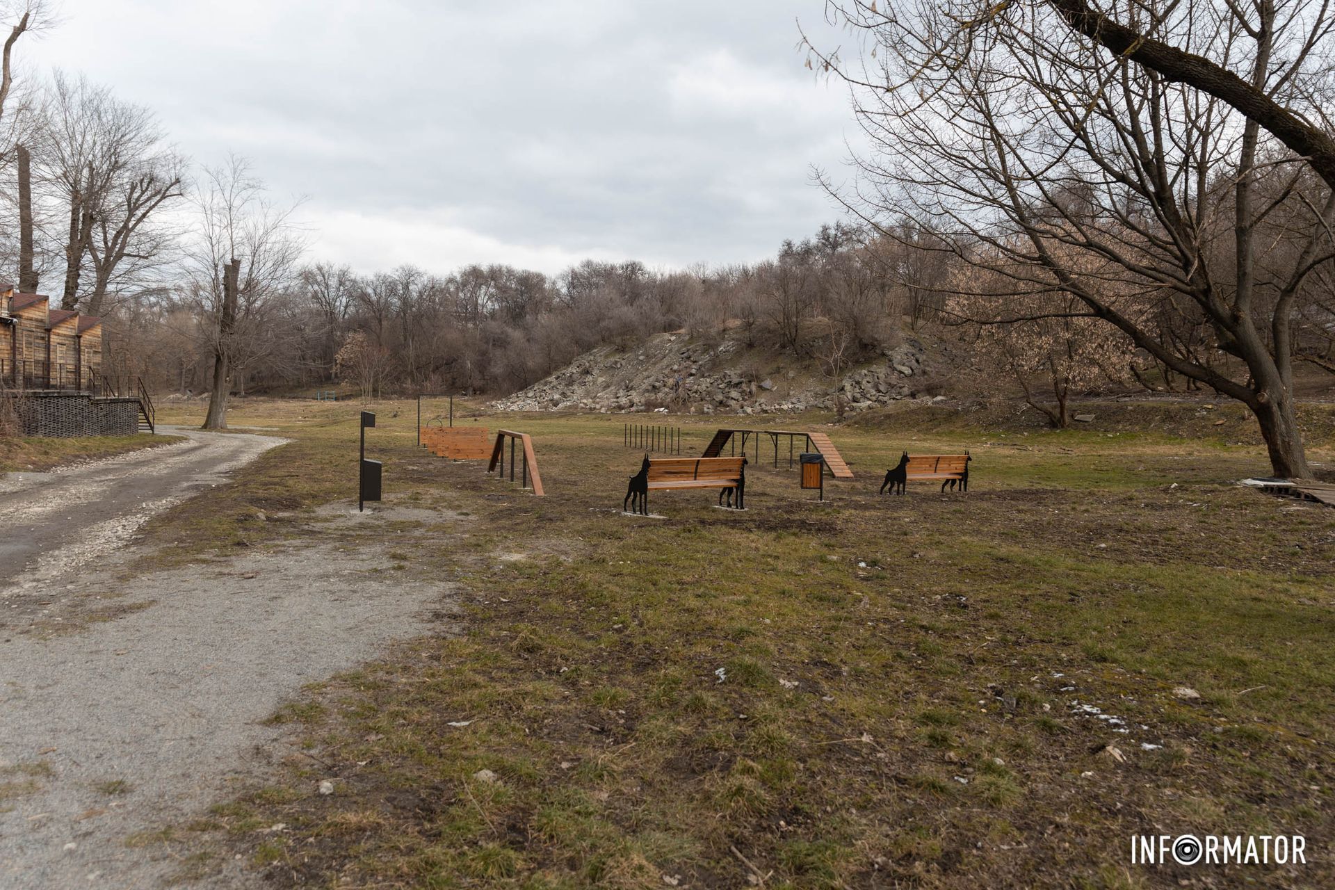 У мерії закликають містян дотримуватись чистоти та прибирати за своїми чотирилапими