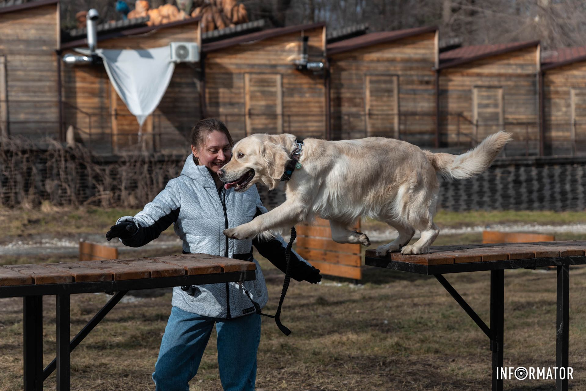 Розташована локація поруч з "Динопарком"
