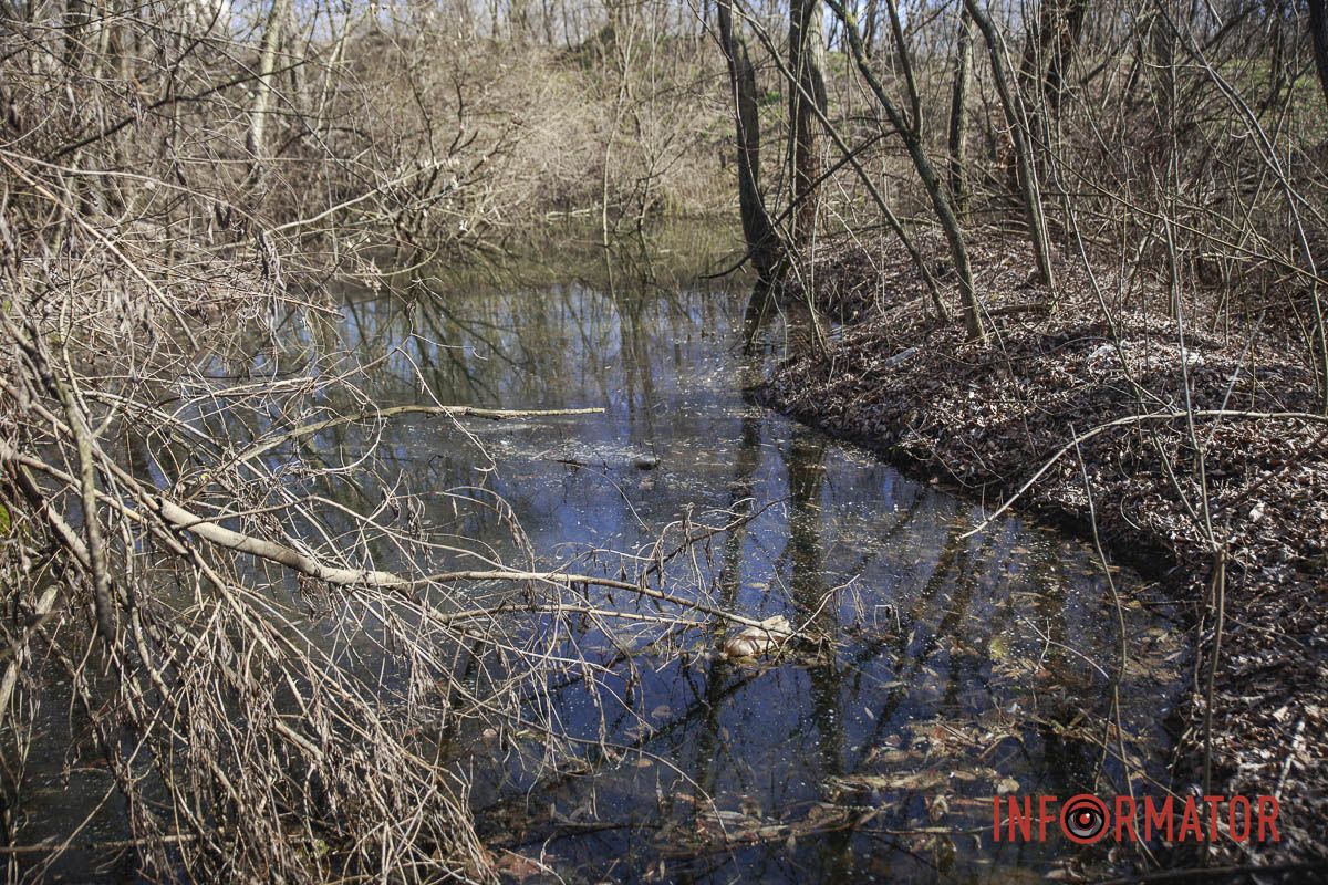Летом здесь плавает рыба Летом здесь плавает рыба