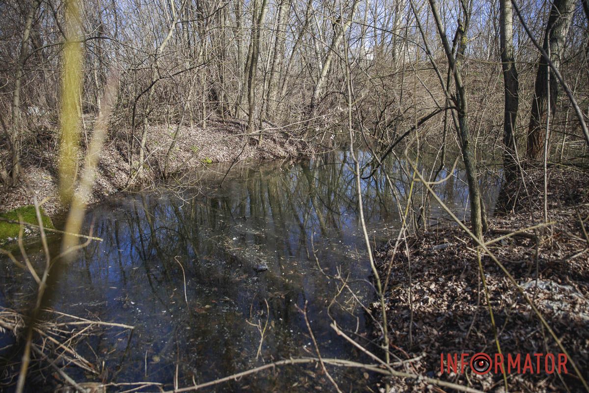 Так смотрится территория за гаражами Так смотрится территория за гаражами