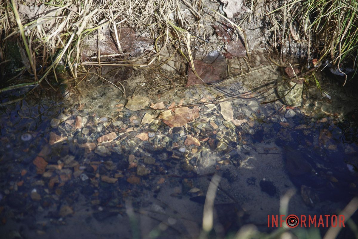 Хрустальная Хрустальная