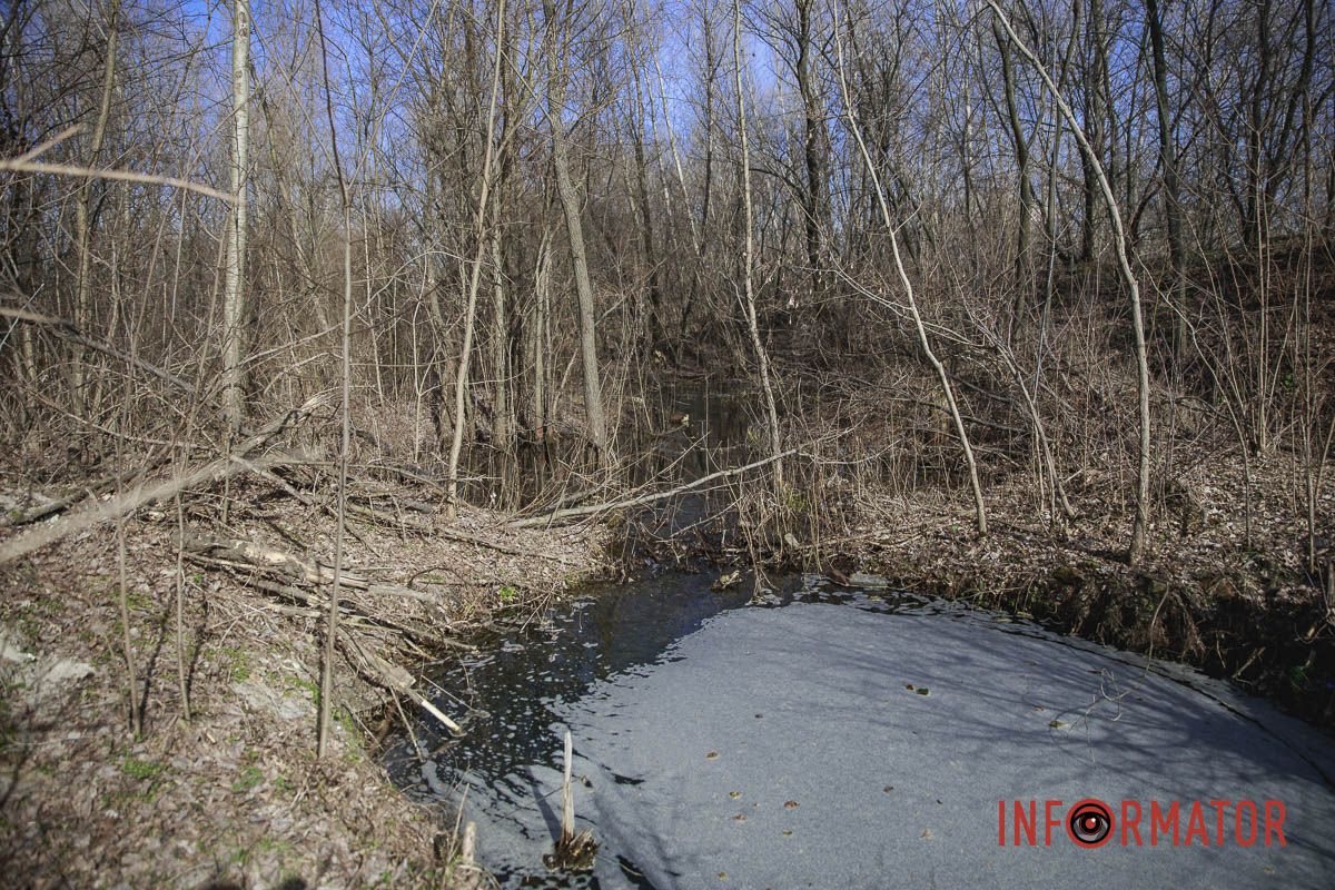 С каждым годом воды только больше С каждым годом воды только больше