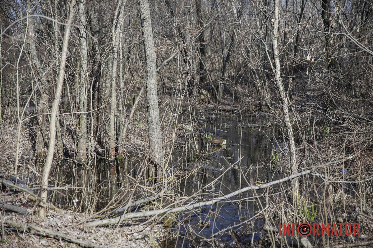 Интересно, а лягушки есть? Интересно, а лягушки есть?