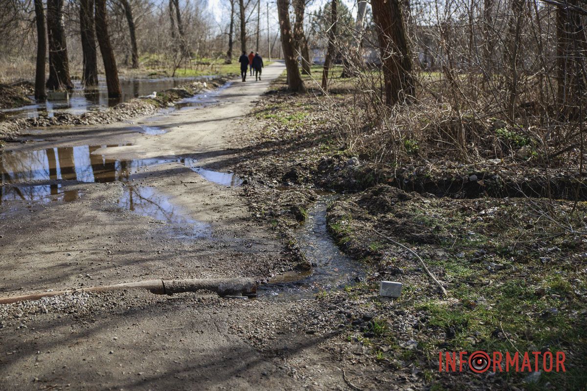 Мини-оазис... Мини-оазис...